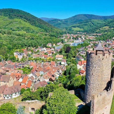 Les Chambres De La Weiss Kaysersberg-Vignoble Buitenkant foto